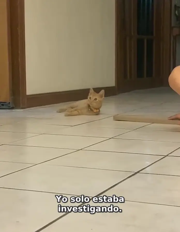 Fotograma de Jacobo jugando en casa