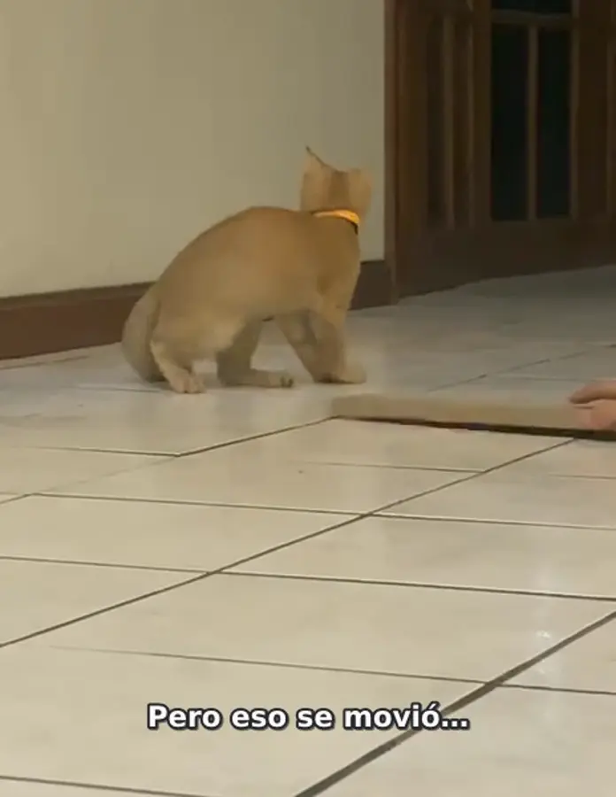 Otro fotograma de Jacobo en su casa